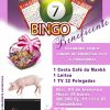 Bingo Beneficente em prol do Sonho de Princesa 2020