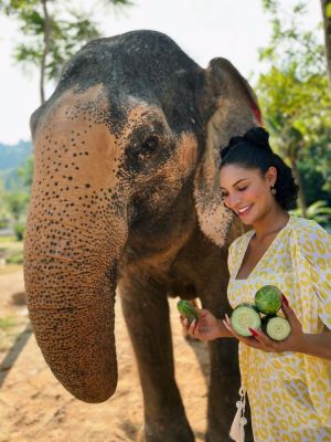 O dia que eu cuidei de um elefante!