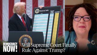 Lisa Graves say on the Tariffs of Trump