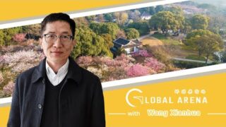 China has its own understanding of civilizational coexistence: scholar