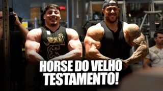 Como Open Oldschool treinam braços