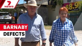 Barnaby Joyce joins One Nation as his former colleagues take aim