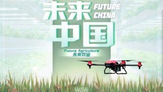 How do China’s vertical plant factories enable crops to overcome limitations of geography and season