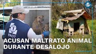 Polémica en CDMX por retiro de animales del Refugio Franciscano