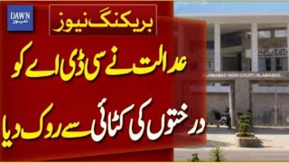 Islamabad High Court Stops CDA from Cutting Trees | Breaking News | Dawn News