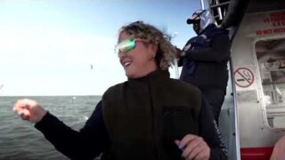 Why great white sharks are vanishing from South Africa's Cape coast