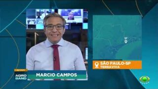 Giro Brasil: exportações de frango, peru e mel para a UE aumentam