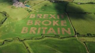 'Brexit Broke Britain': activists carve message into farmland