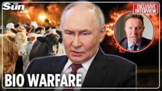 Putin’s sick new weapon: Rotting anthrax-riddled cow carcasses buried across Ukraine